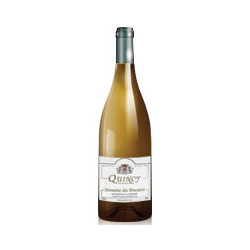 Quincy 2025 Blanc Domaine des Bruniers - 75cl