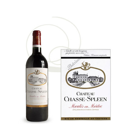 Château Chasse Spleen 2015 Rouge - 150cl