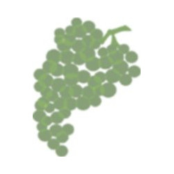Hasard 2017 Blanc Vaisse - 75cl