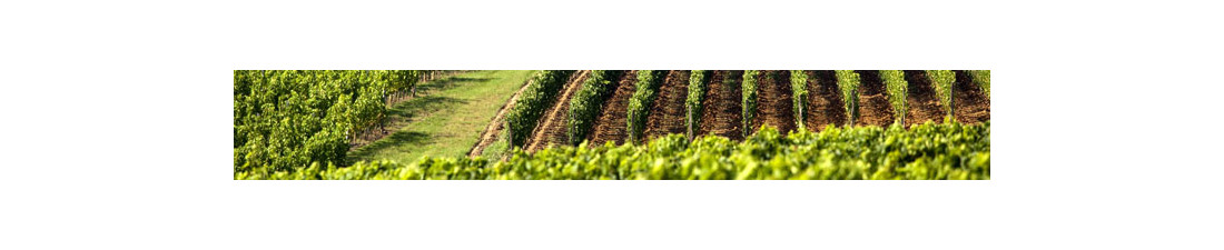 Vous recherchez du Vin Brotte au meilleur prix ? Nombreux millésimes de la région Rhone en vente en ligne.