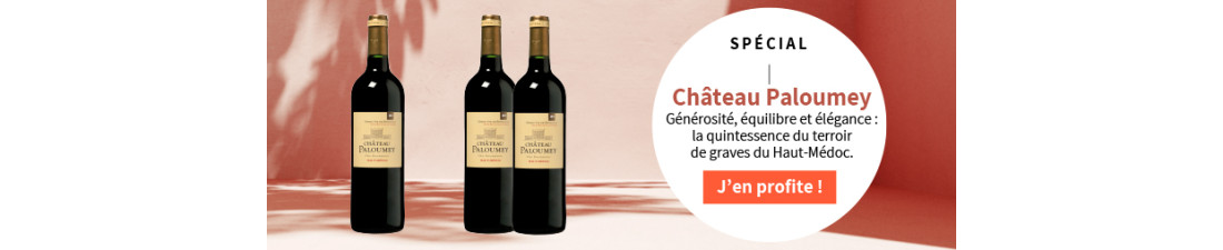 Vous recherchez Château Paloumey Haut Médoc Bordeaux au meilleur prix ?