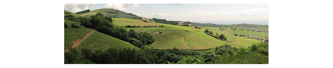 Achat de Brouilly sur Vintage and Co | Sélection de Vins de la région Beaujolais