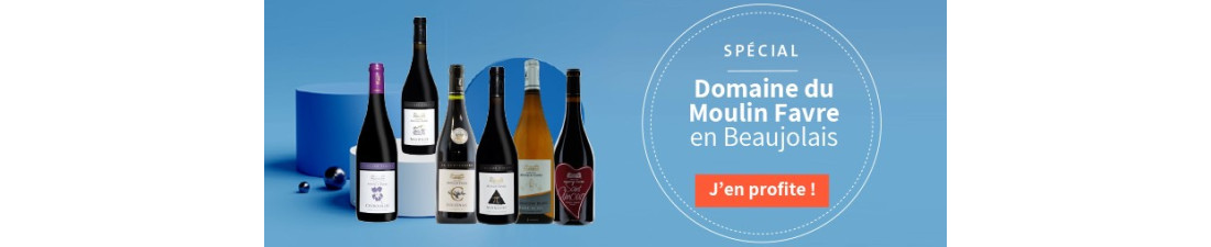 Vous recherchez du Vin Domaine du Moulin Favre au meilleur prix ? Nombreux millésimes de la région Beaujolais en vente en ligne.