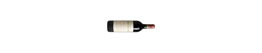 Vous recherchez Château Maucaillou Moulis Bordeaux au meilleur prix ?