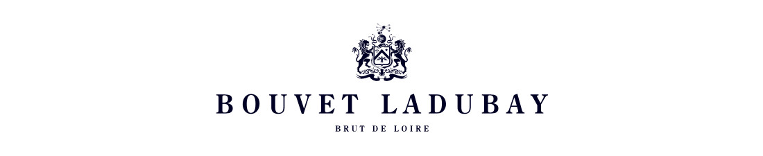 Vous recherchez du Vin Bouvet Ladubay au meilleur prix ? Nombreux millésimes de la région Loire en vente en ligne.