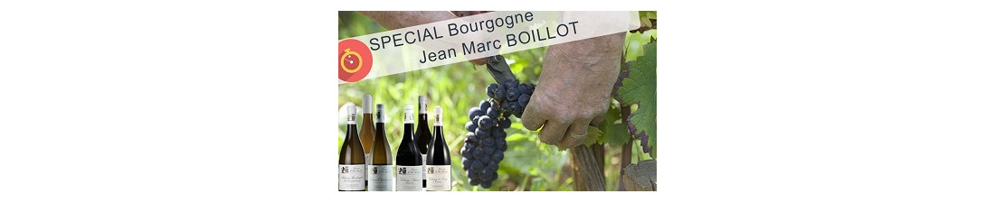 Vous recherchez du Vin J. M. Boillot au meilleur prix ? Nombreux millésimes de la région Bourgogne en vente en ligne.
