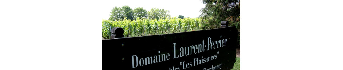 Vous recherchez du Champagne Laurent-Perrier au meilleur prix ? Nombreux millésimes de la région Champagne en vente en ligne.