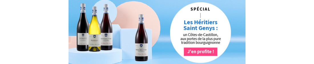 Vous recherchez du Vin Les Heritiers Saint Genys au meilleur prix ? Nombreux millésimes de la région Bourgogne en vente en ligne.