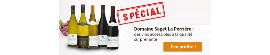 Vous recherchez du Vin Saget au meilleur prix ? Nombreux millésimes de la région Loire en vente en ligne.