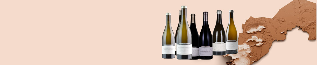 Vous recherchez des Vins du domaine Bruno Colin au meilleur prix ? Nombreux millésimes de la région Bourgogne en vente en ligne.