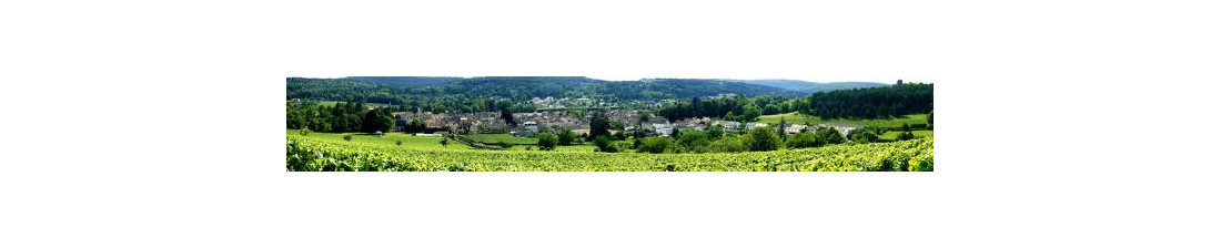 Achat de Chambolle Musigny sur Vintage and Co | Sélection de Vins de la région Bourgogne