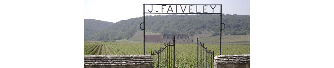 Vous recherchez du Vin Faiveley au meilleur prix ? Nombreux millésimes de la région Bourgogne en vente en ligne.