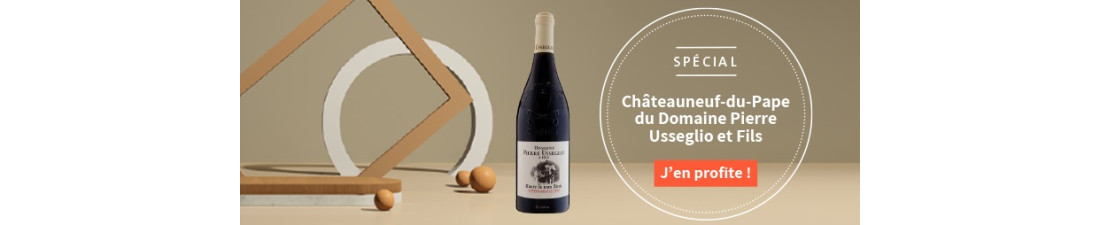 Vous recherchez du Vin Pierre Usseglio Fils au meilleur prix ? Nombreux millésimes de la région Rhone en vente en ligne.