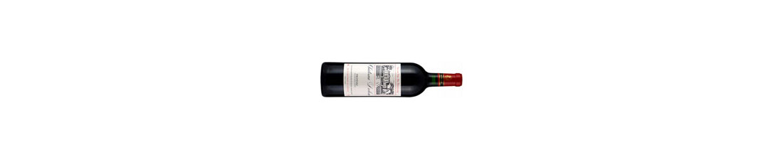 Vous recherchez Château Dalem Fronsac Bordeaux au meilleur prix ?