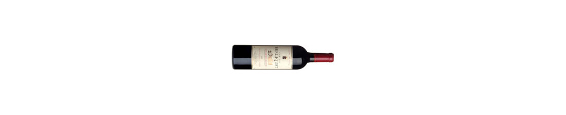 Vous recherchez Chateau Berliquet St Emilion Bordeaux au meilleur prix ?