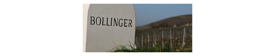 Vous recherchez du Champagne Bollinger au meilleur prix ? Nombreux millésimes de la région Champagne en vente en ligne.