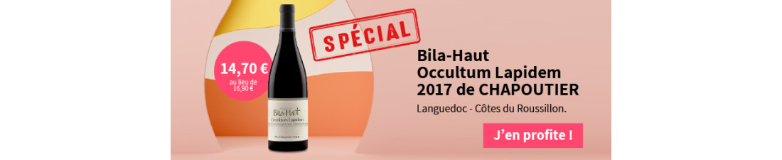 Vous recherchez Occultum Lapidem - Domaine de Bila Haut Cotes du Roussillon Languedoc au meilleur prix ?