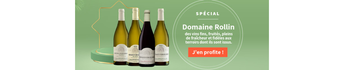 Vous recherchez du Vin Domaine Rollin au meilleur prix ? Nombreux millésimes de la région Bourgogne en vente en ligne.