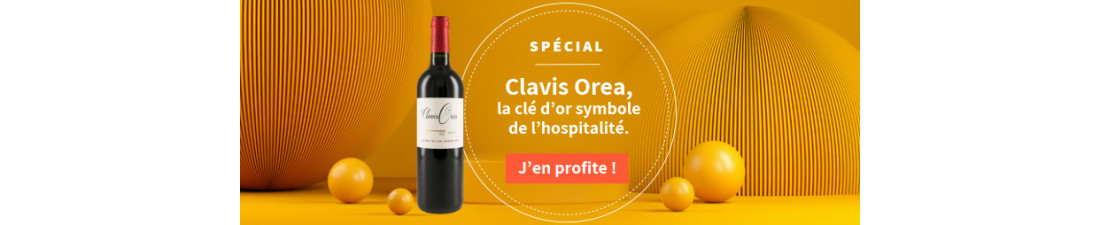 Vous recherchez Clavis Orea St Emilion Bordeaux au meilleur prix ?