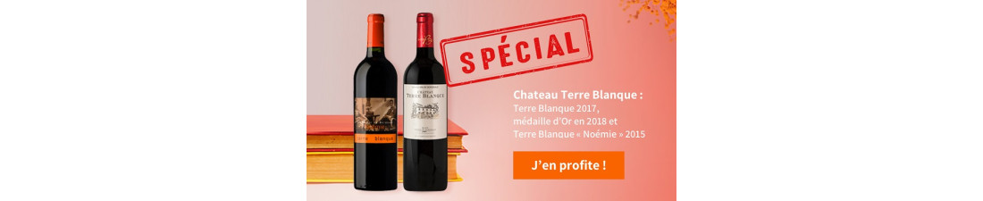 Achat de Blaye Côtes de Bordeaux sur Vintage and Co | Sélection de Vins de la région Sud Ouest