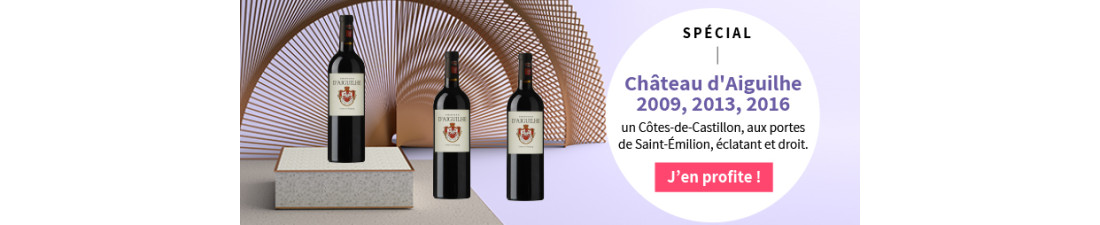 Vous recherchez Château D'Aiguilhe Côtes de Castillon Bordeaux au meilleur prix ?