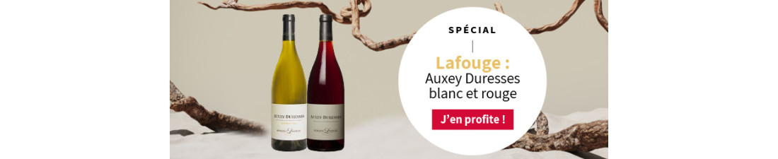 Vous recherchez du Vin Lafouge au meilleur prix ? Nombreux millésimes de la région Bourgogne en vente en ligne.