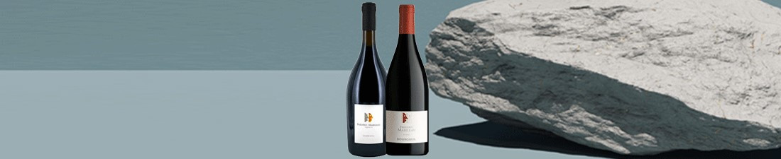 Vous recherchez du Vin Frederic Mabileau au meilleur prix ? Nombreux millésimes de la région Loire en vente en ligne.