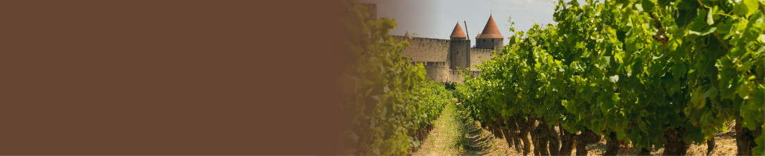 Notre sélection de Vins de Bourgognes rouges au meilleur prix sur Vintage and Co