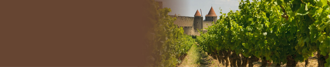 bourgogne rouges